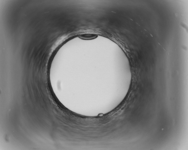 X0000096390008200802141506