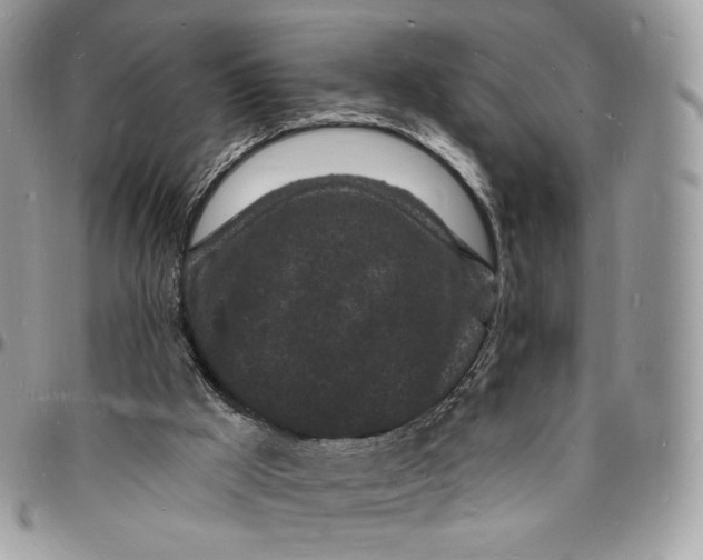 X0000096390009200802141506