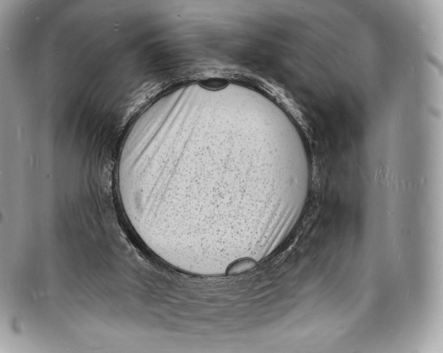 X0000096390010200802141506