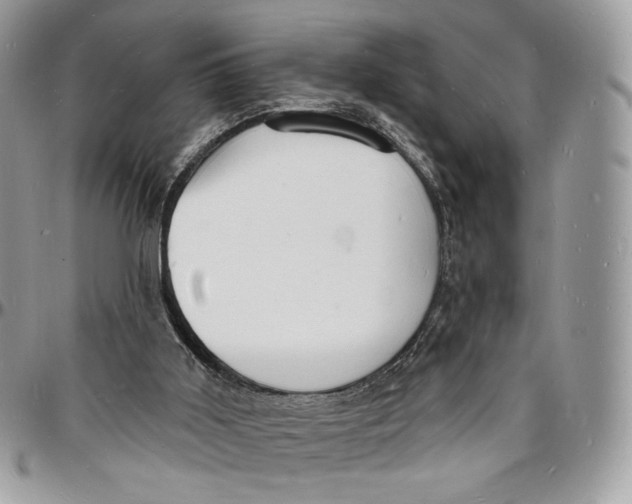 X0000096390011200802141506