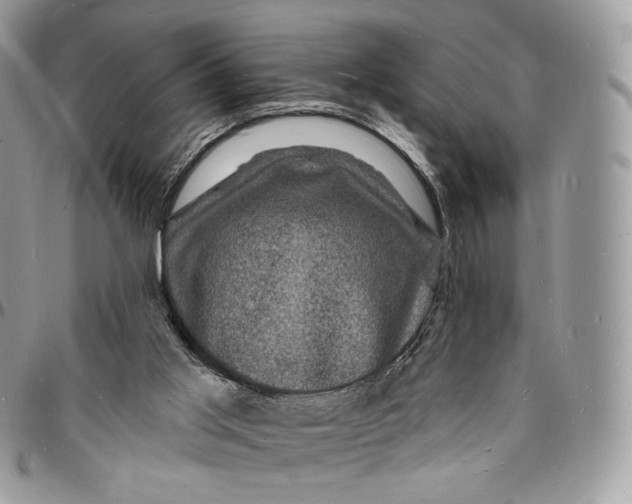 X0000096390013200802141506