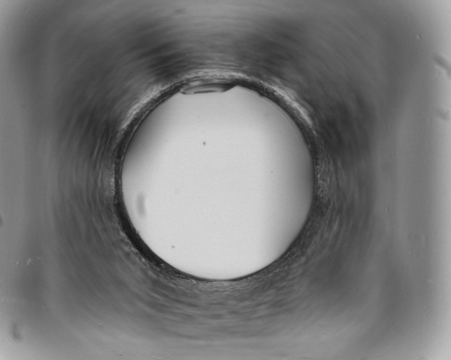 X0000096390015200802141506