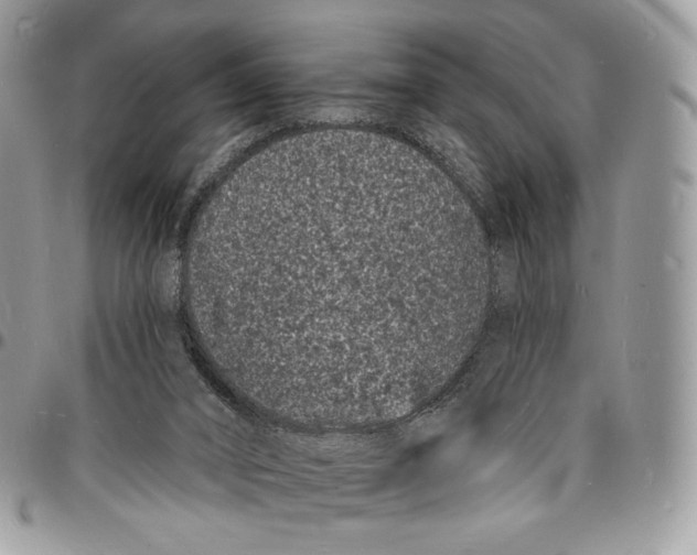 X0000096390016200802141506