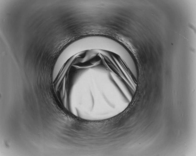 X0000096390017200802141506