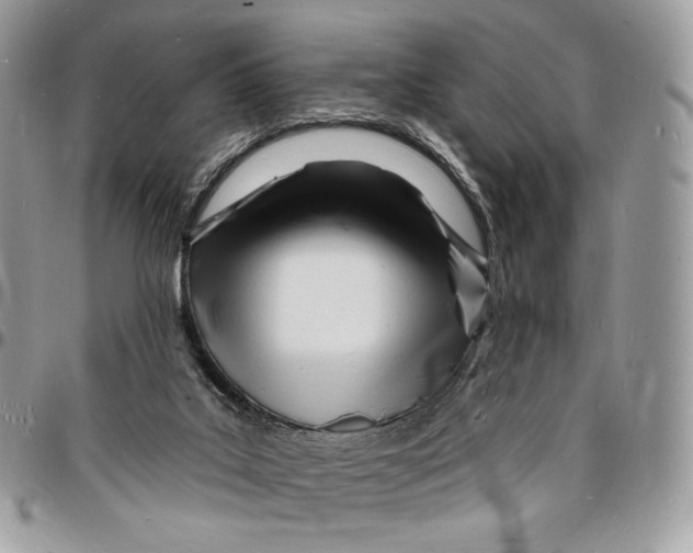 X0000096390019200802141505