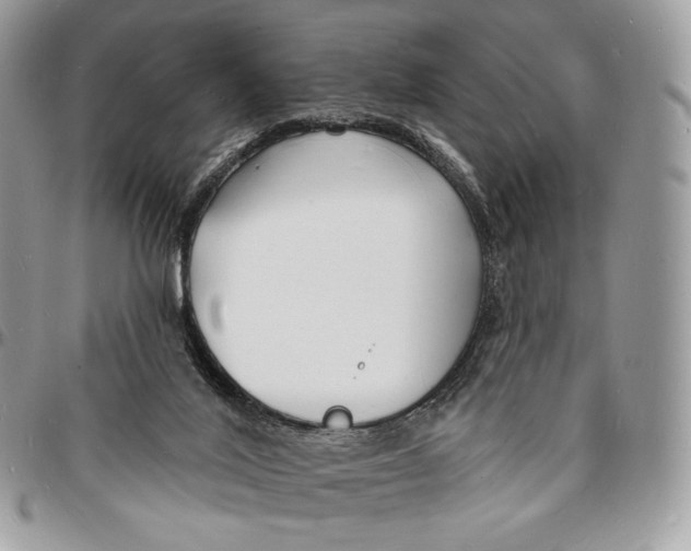 X0000096390020200802141505