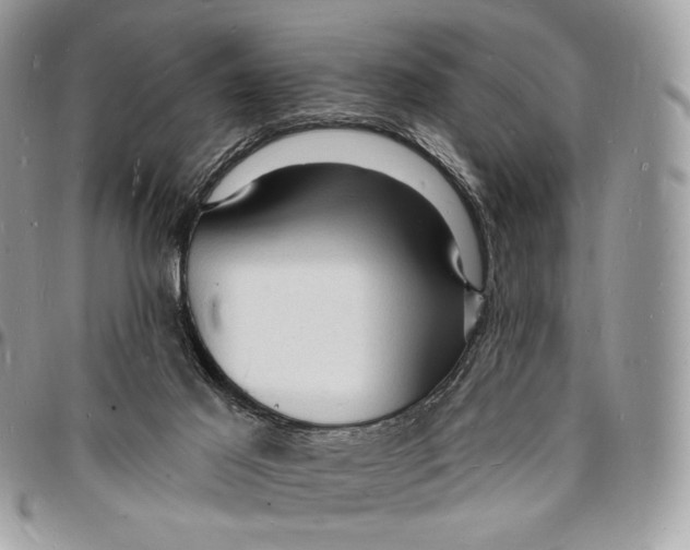 X0000096390021200802141505