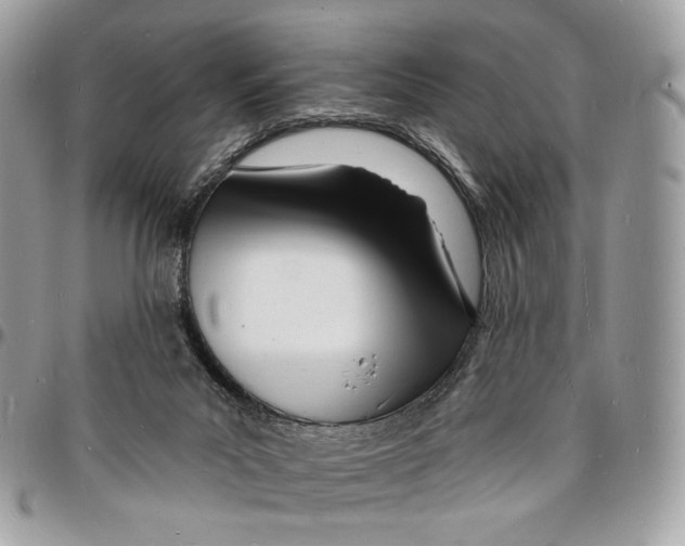 X0000096390023200802141505
