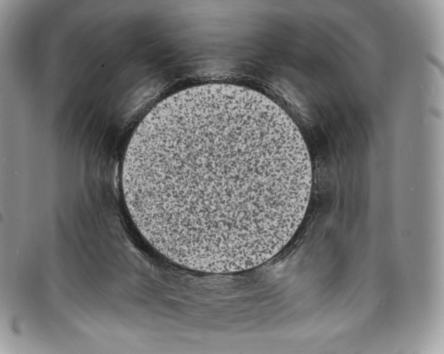 X0000096390024200802141505