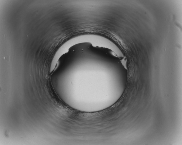 X0000096390025200802141505