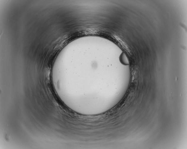 X0000096390026200802141505