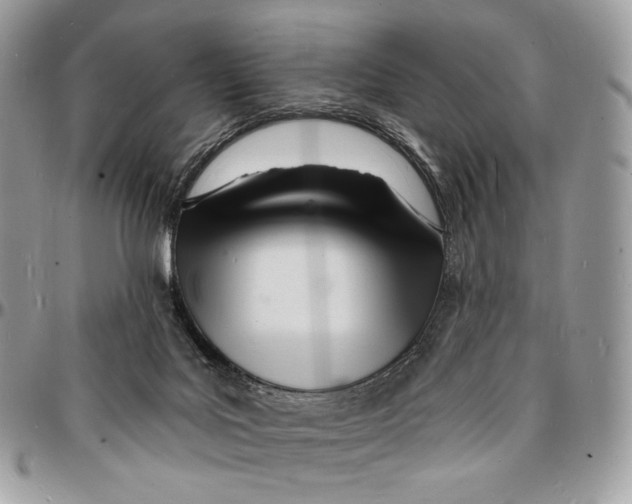 X0000096390027200802141505