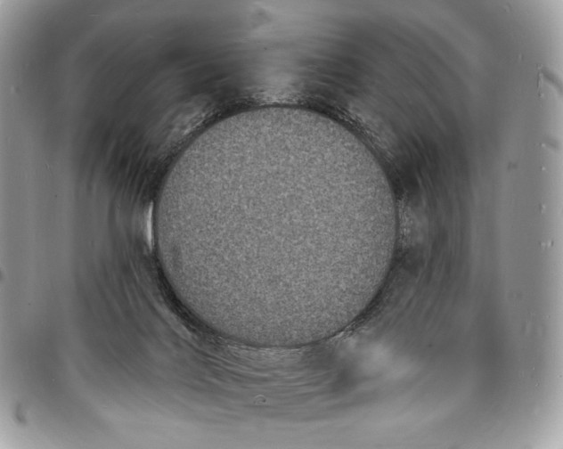 X0000096390028200802141505