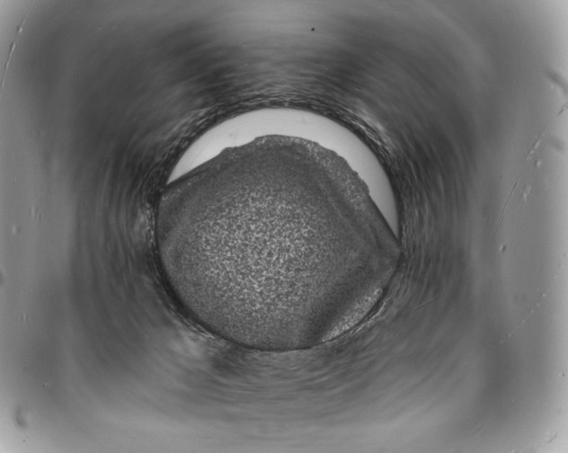 X0000096390029200802141505