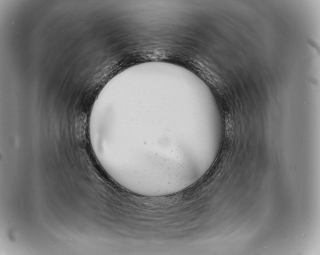 X0000096390030200802141505