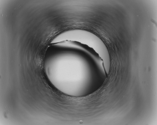 X0000096390031200802141505