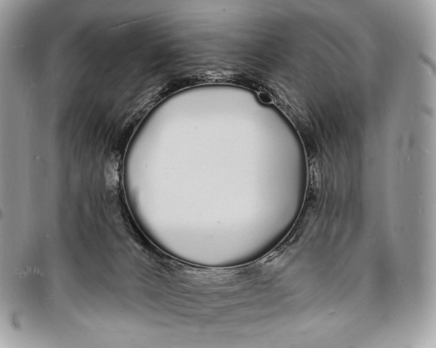 X0000096390032200802141505