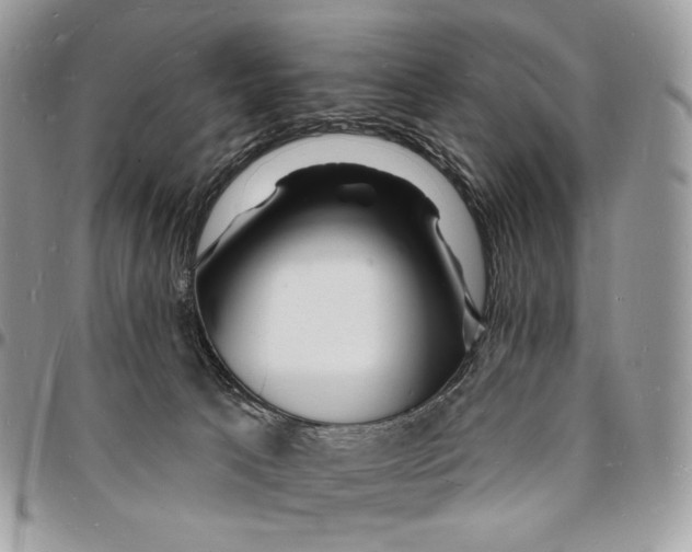 X0000096390033200802141505