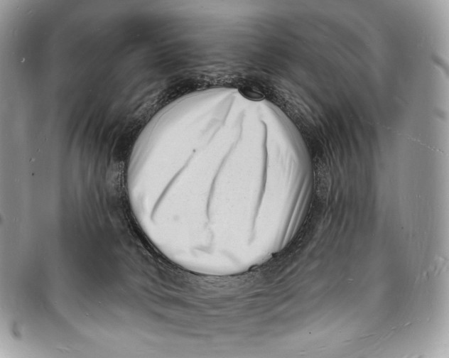 X0000096390034200802141505