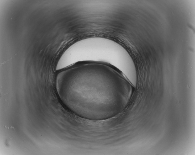 X0000096390035200802141505