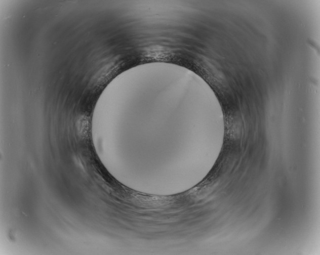 X0000096390036200802141505