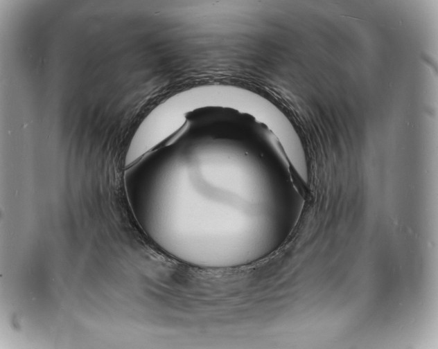 X0000096390037200802141505