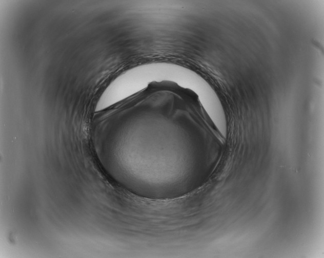 X0000096390039200802141505