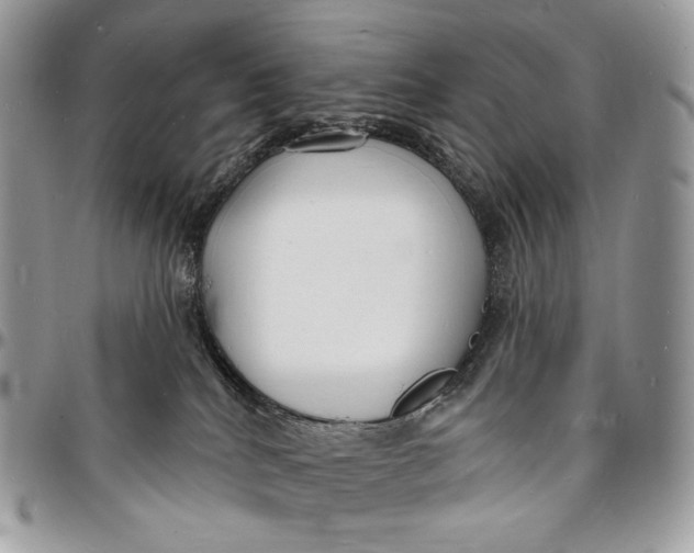 X0000096390040200802141505