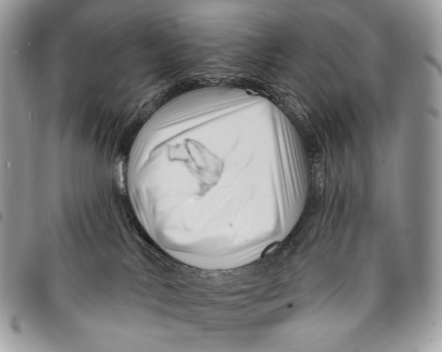 X0000096390042200802141505