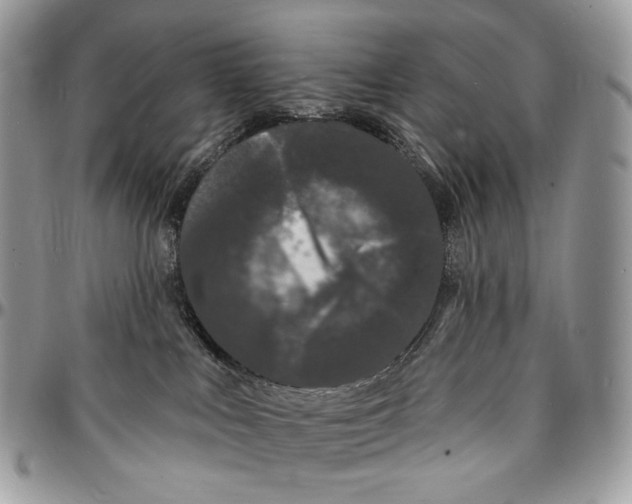X0000096390043200802141505
