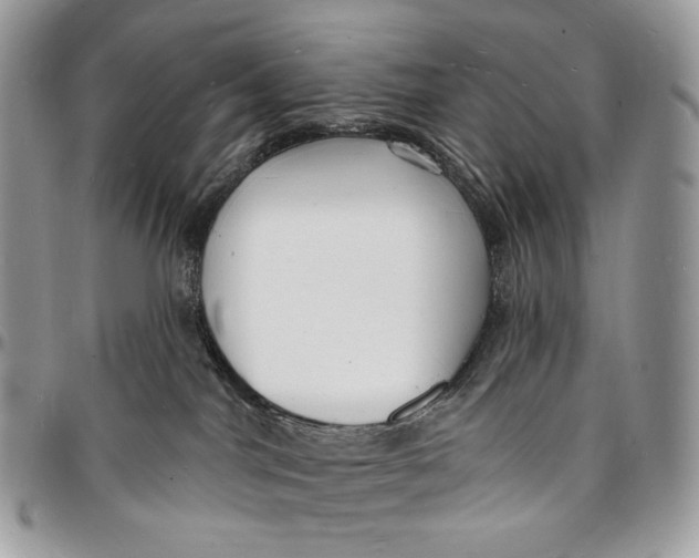 X0000096390044200802141505