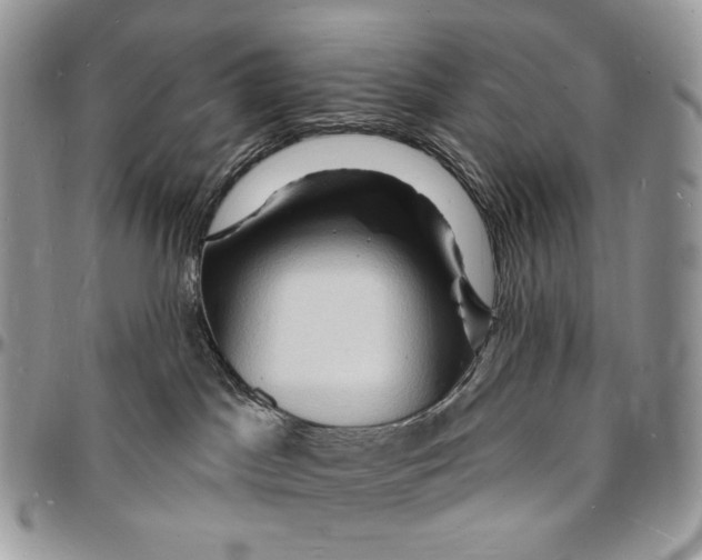 X0000096390045200802141505