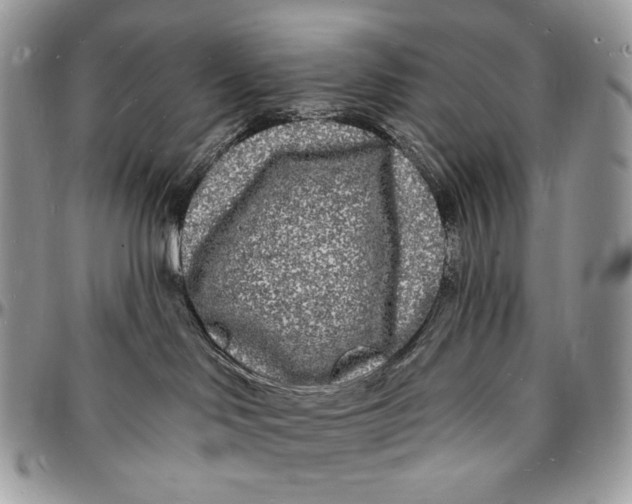 X0000096390046200802141505
