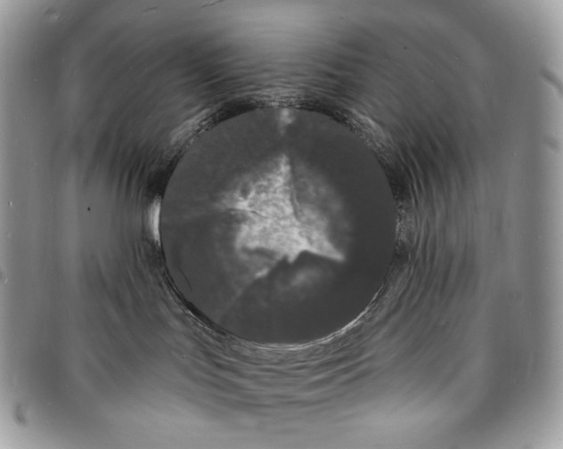 X0000096390047200802141505