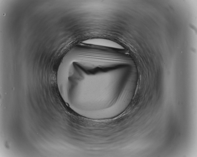 X0000096390048200802141505