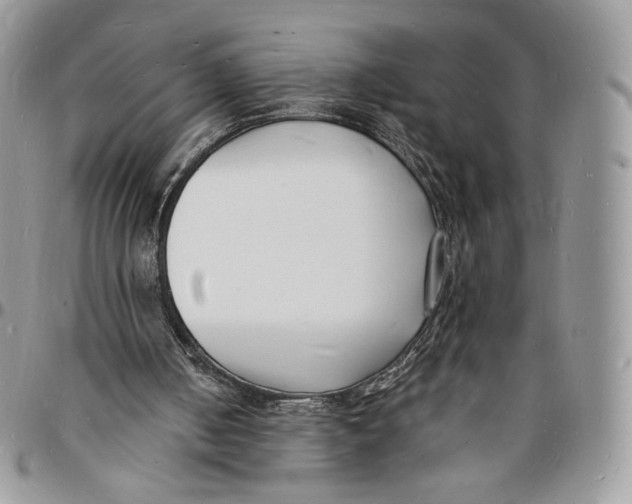 X0000096390050200802141504