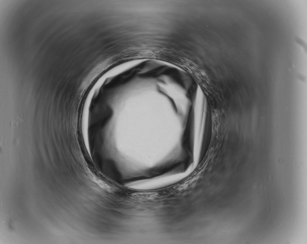 X0000096390051200802141504