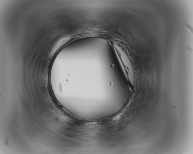 X0000096390054200802141504