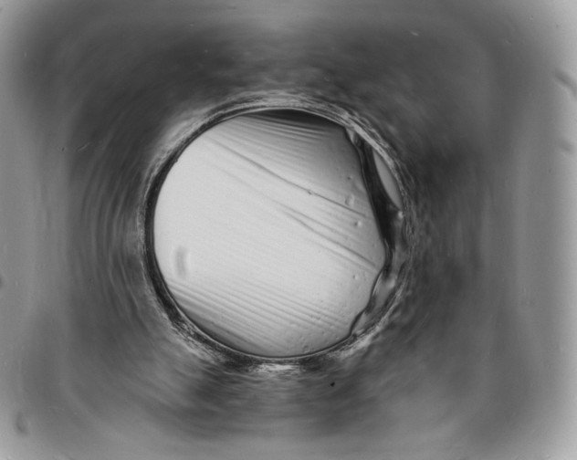 X0000096390055200802141505