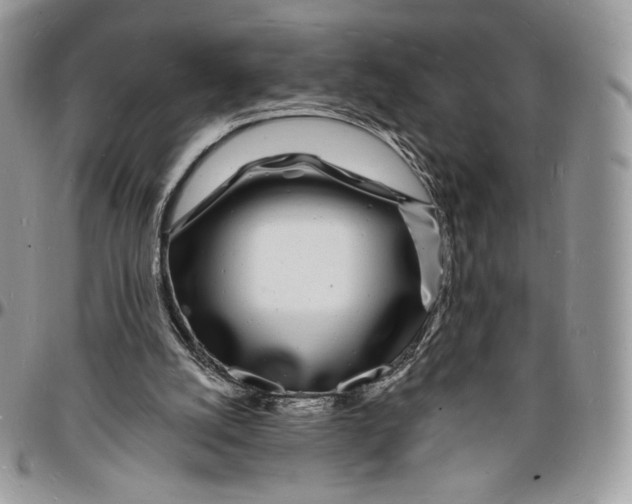 X0000096390056200802141505