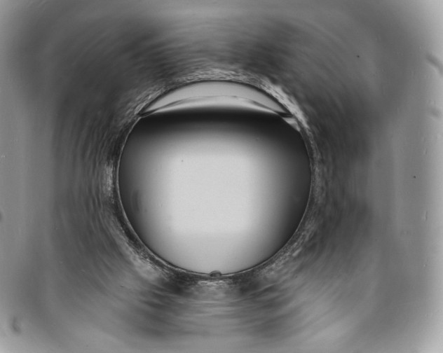 X0000096390057200802141505