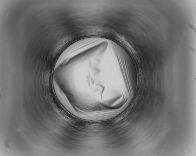 X0000096390058200802141505