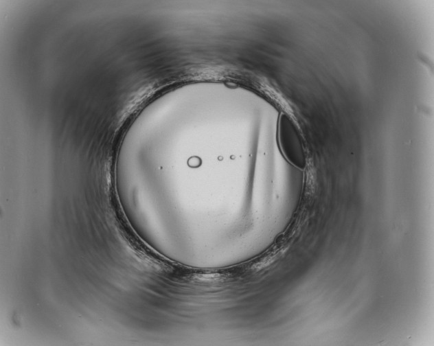 X0000096390059200802141505