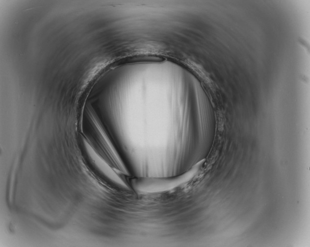 X0000096390060200802141505