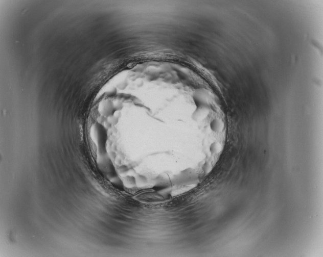 X0000096390061200802141505