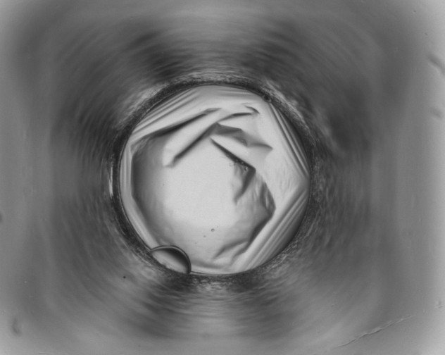 X0000096390062200802141505