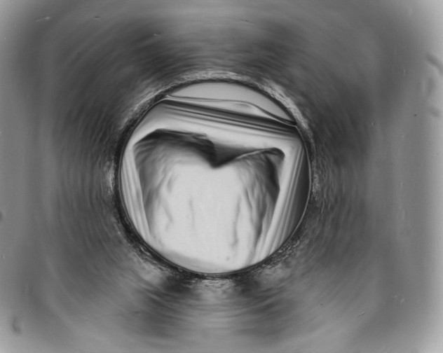 X0000096390063200802141505