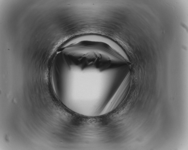 X0000096390064200802141505