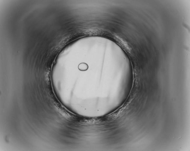 X0000096390065200802141505