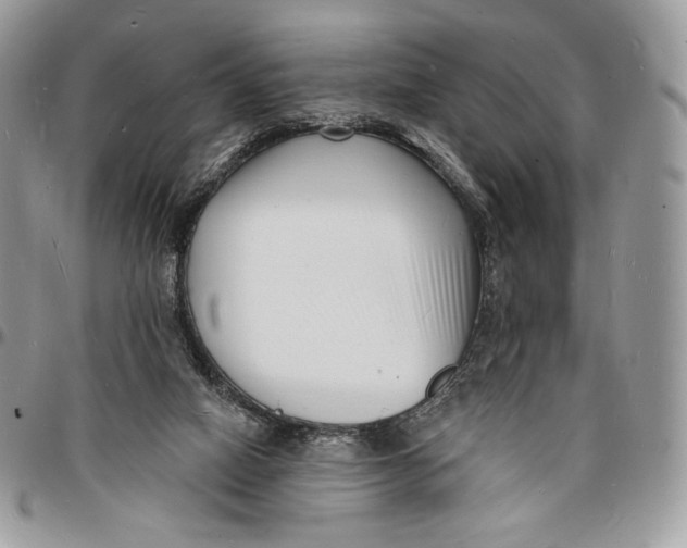 X0000096390066200802141505